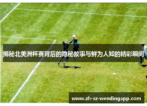 揭秘北美洲杯赛背后的隐秘故事与鲜为人知的精彩瞬间
