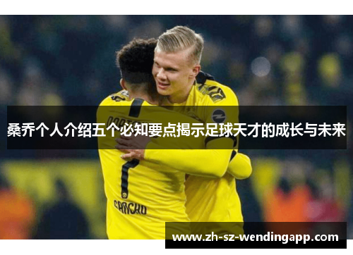 桑乔个人介绍五个必知要点揭示足球天才的成长与未来