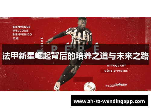 法甲新星崛起背后的培养之道与未来之路