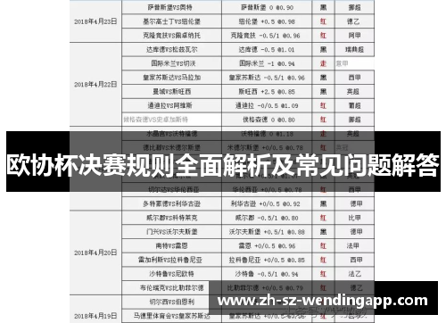 欧协杯决赛规则全面解析及常见问题解答