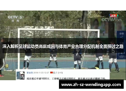 深入解析足球运动员高薪成因与体育产业合理分配机制全面探讨之路