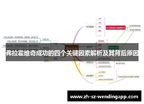 弗拉霍维奇成功的四个关键因素解析及其背后原因