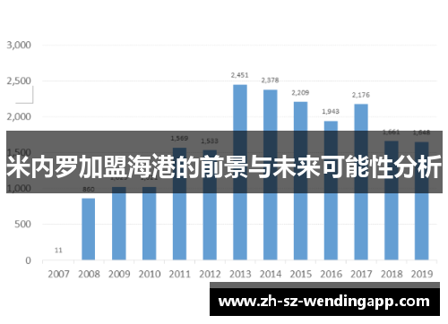 米内罗加盟海港的前景与未来可能性分析