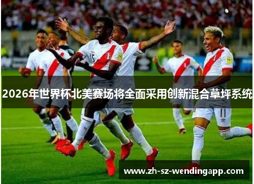 2026年世界杯北美赛场将全面采用创新混合草坪系统